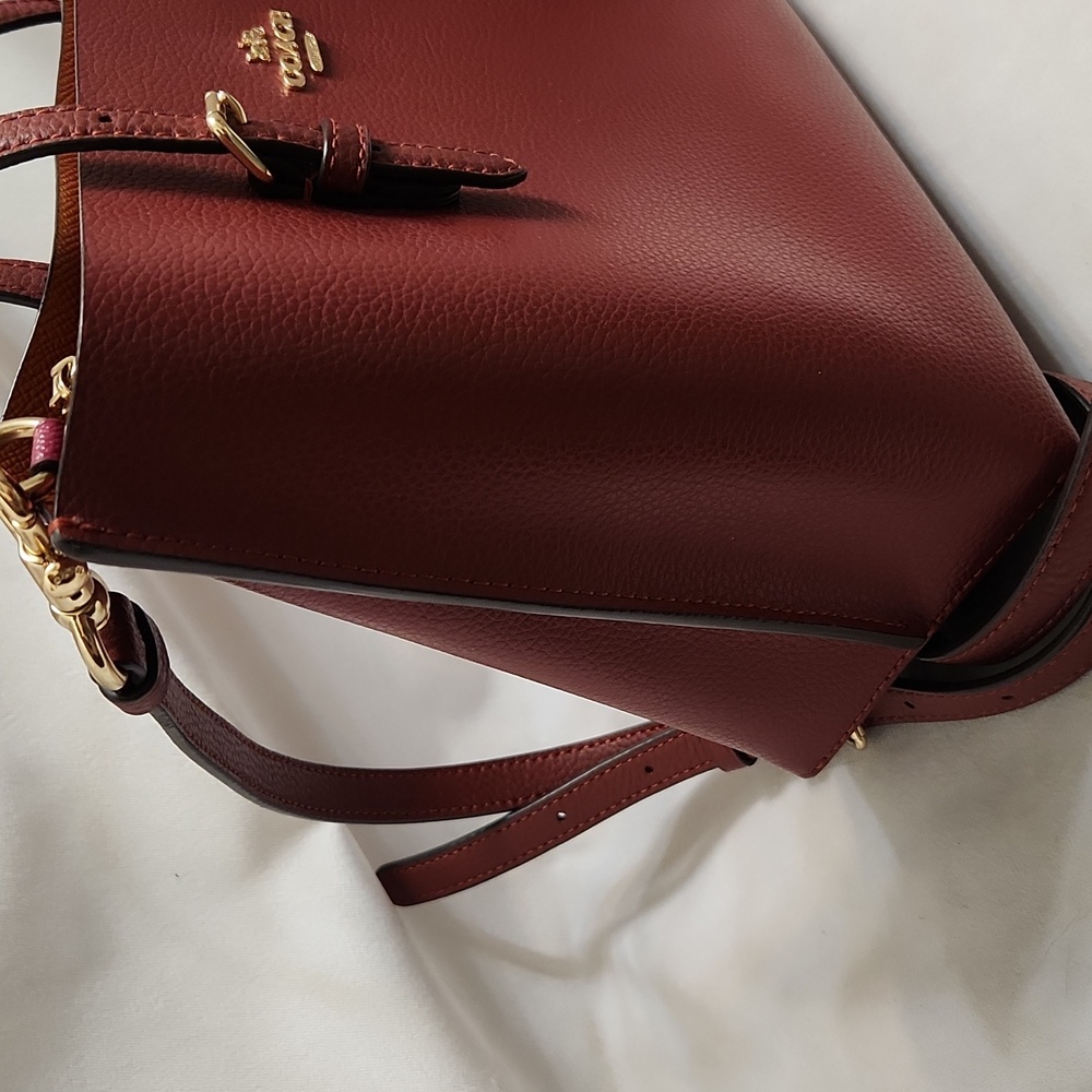Coach Mollie Tote 25 Crossbody Bag - Picture 8 of 16
